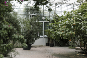 Ogród botaniczny - fotorelacja. Foto Justyna Grochowska