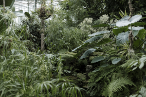 Ogród botaniczny - fotorelacja. Foto Justyna Grochowska