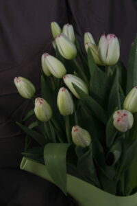Zdjęcie produktowe tulipanów w wazonie